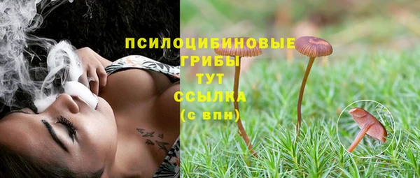 спиды Волоколамск