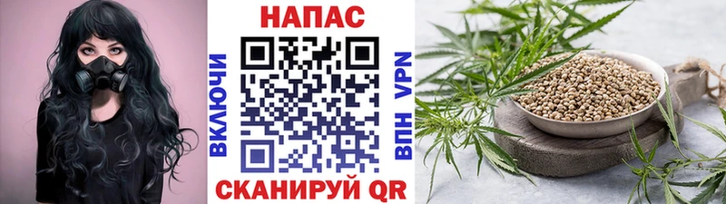 Каннабис сатива  Кадников 